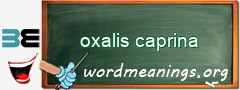 WordMeaning blackboard for oxalis caprina